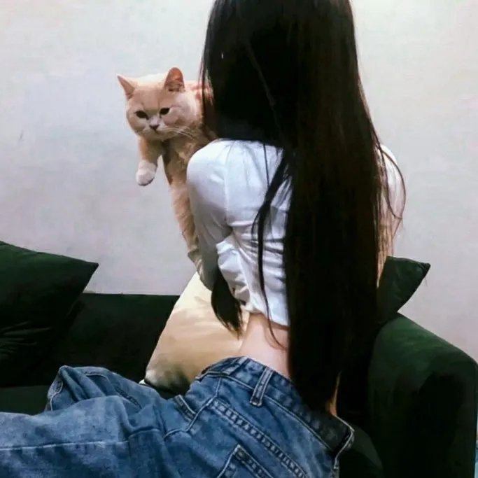 寂静的房子